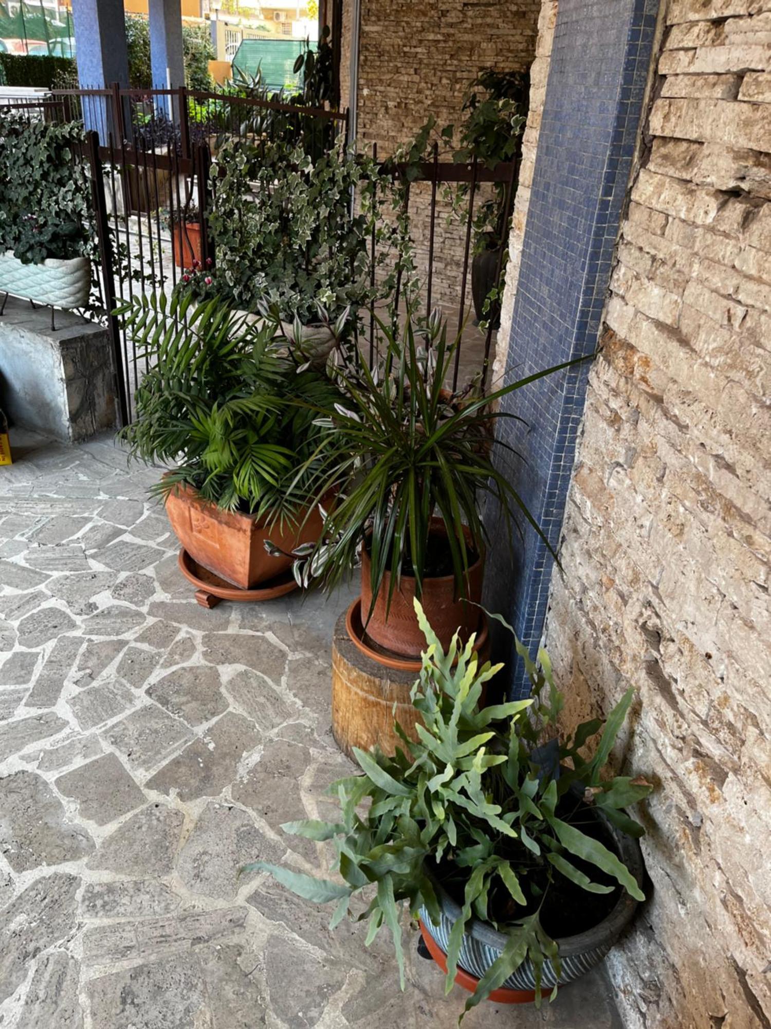Casetta Romana Exterior foto