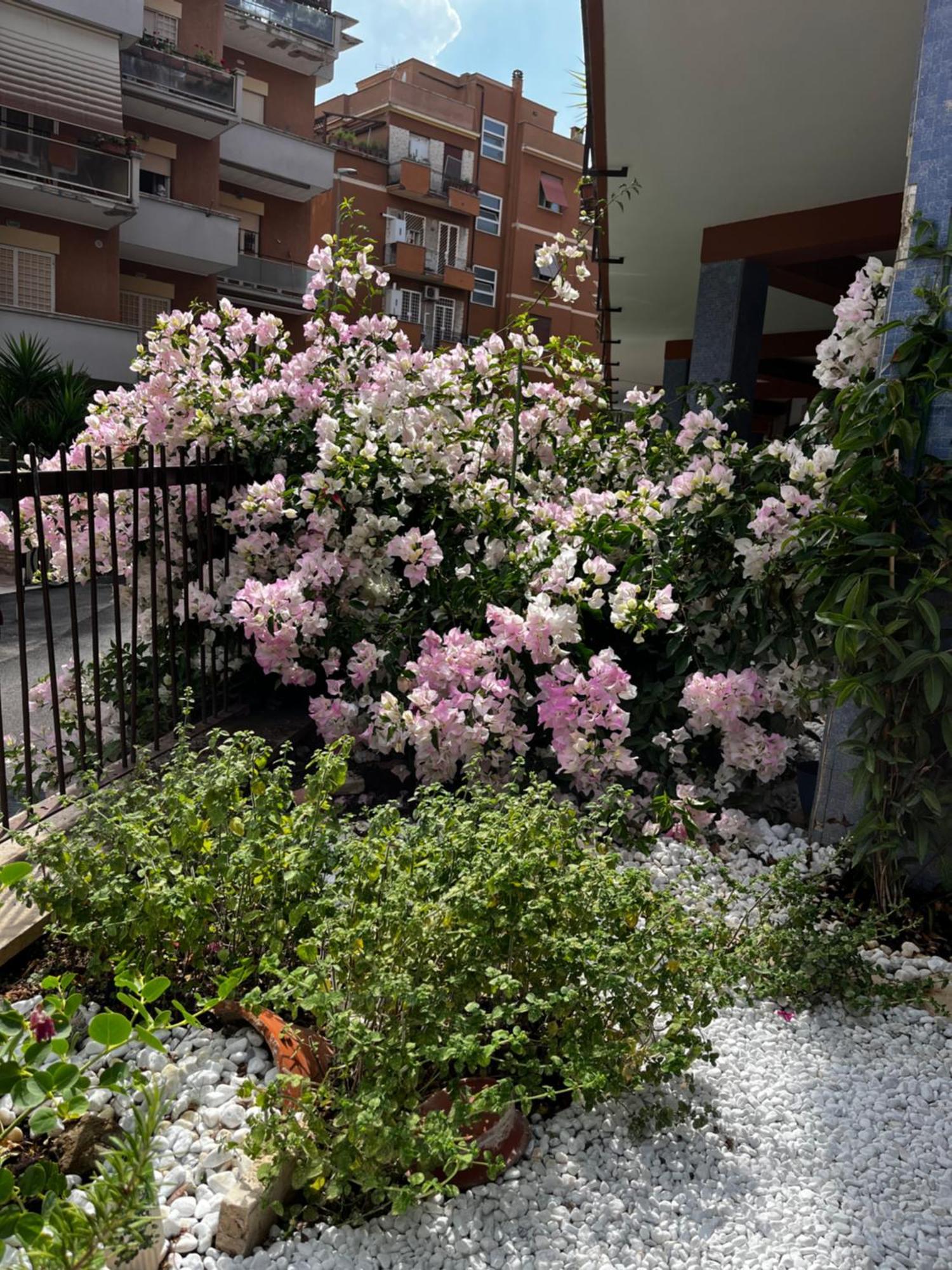 Casetta Romana Exterior foto